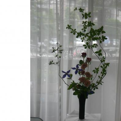 6������̤�����ʤǤ�