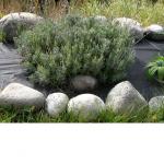 �����Υץ��ե�����