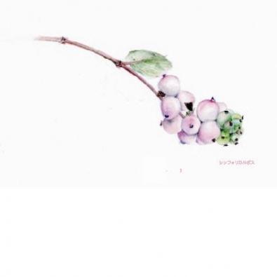 ����ե��ꥫ��ե���