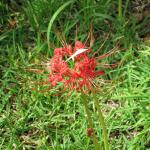 �����������Σ����������