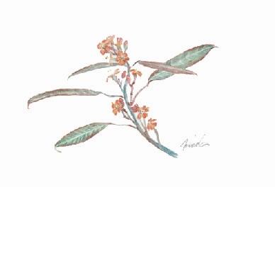 �桼�ե���ӥ�����Ȫ������Ҥ���κ��ʤǤ�