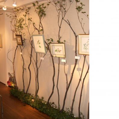 �ܥ��˥��륢���Ⱥ���Ÿ