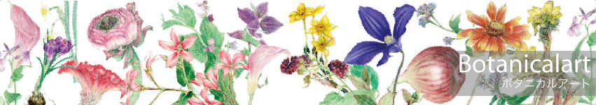 ボタニカルアート