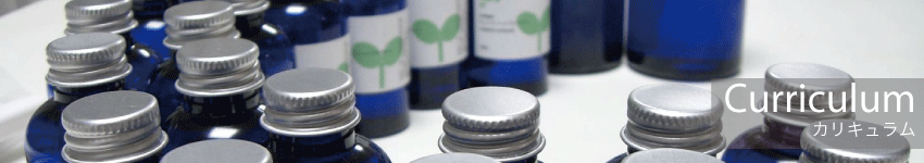 カリキュラム