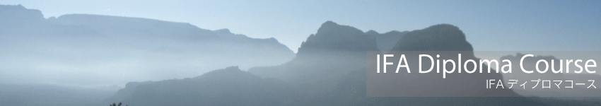 IFA�ǥ��ץ��ޥ�����