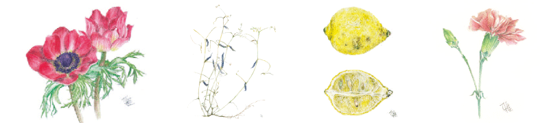 ボタニカルアート教室について